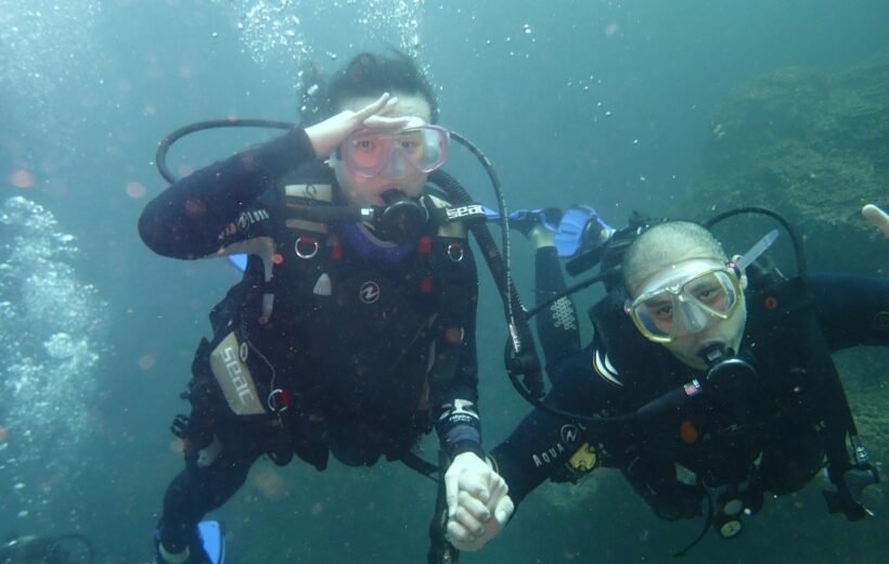 Daymaniyat Islands Scuba Diving Trip