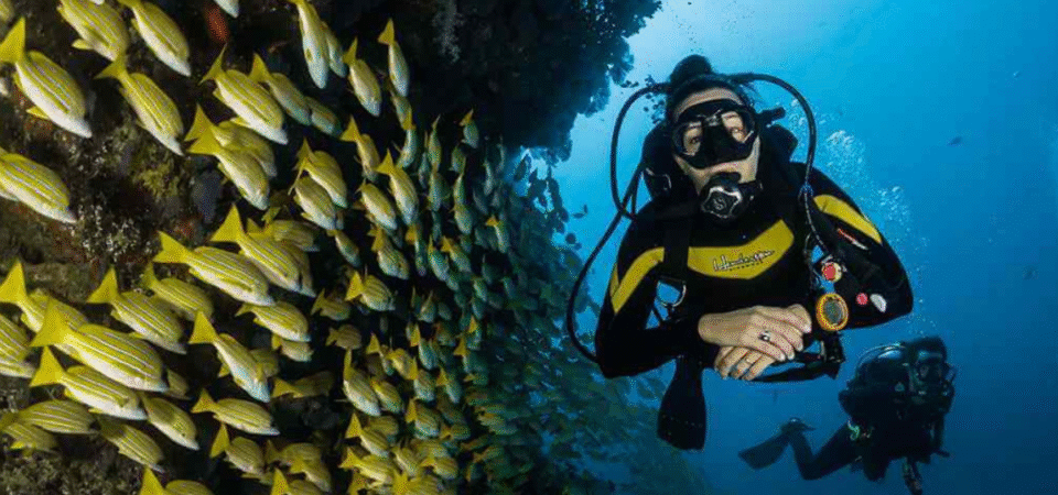muscat Scuba Diving